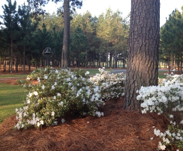 Sumerford Farms Wedding Venue_17