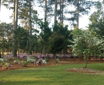 Sumerford Farms Wedding Venue_6